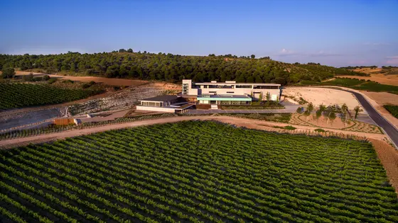 Aalto Bodegas y Viñedos