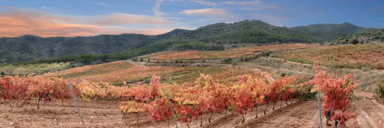 Altos de Ontañon