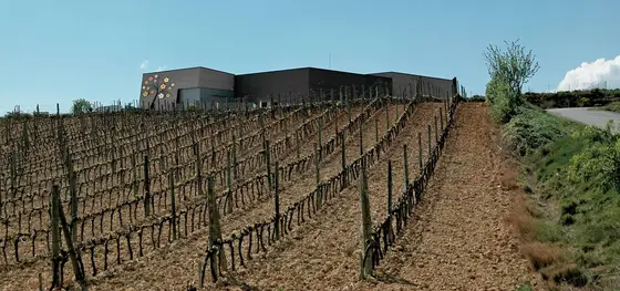Altos de Rioja