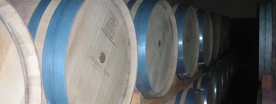Bodega A. Velasco e Hijos