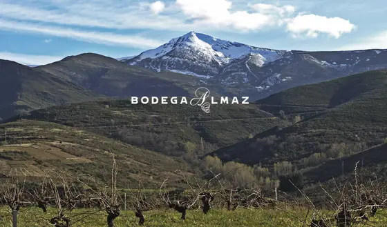 Bodega Almaz
