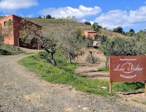 Bodega Bravo Escós