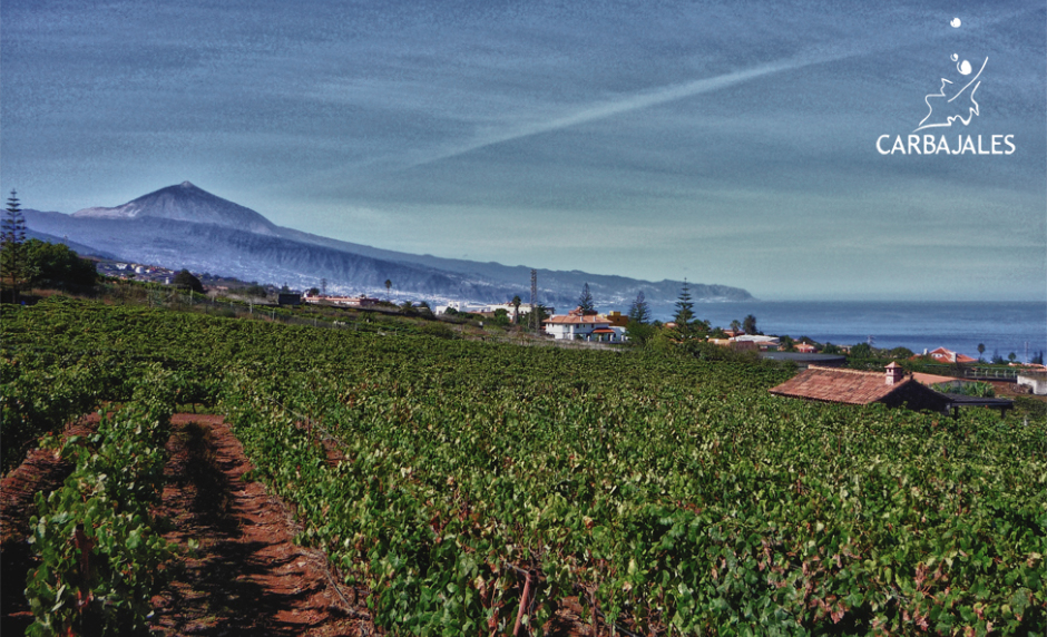 BODEGA CARBAJALES