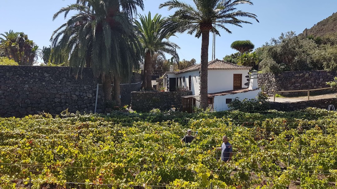 BODEGA CARLOS FERNÁNDEZ