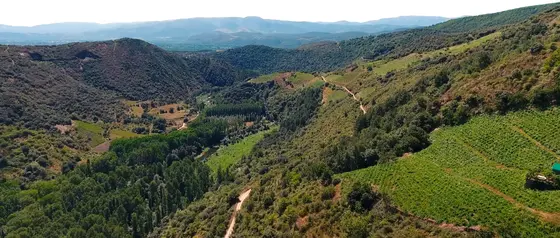 Bodega del Abad