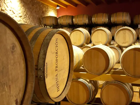 Bodega Divina Proporción