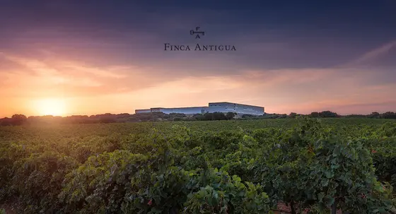 Bodega Finca Antigua