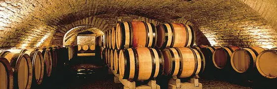 Bodega Francisco Casas
