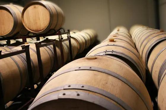 Bodega los Matucos