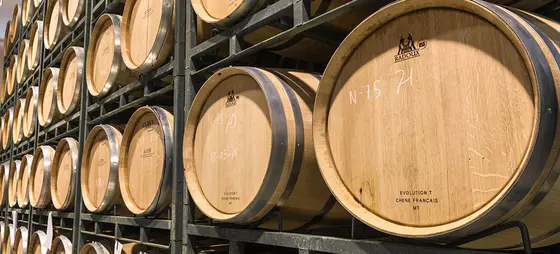 Bodega los Olmos