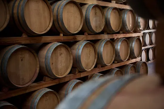 Bodega Luzdivina Amigo