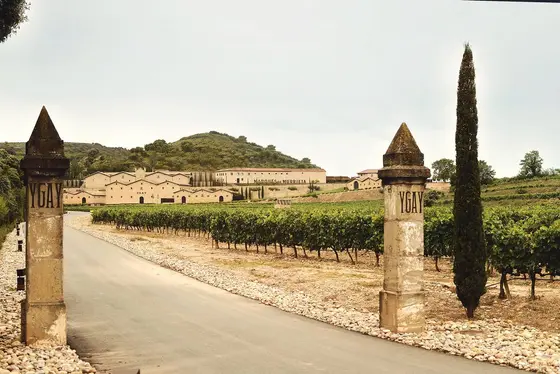 Bodega Marqués de Murrieta