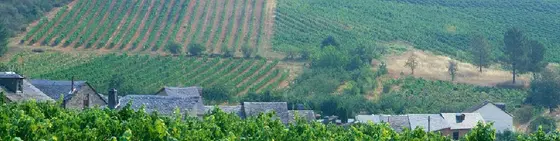 Bodega Martínez Yebra