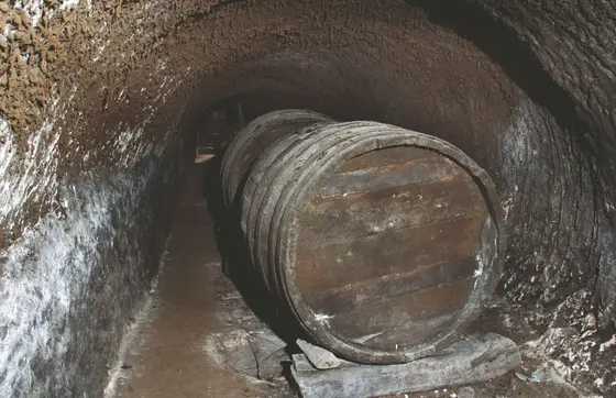 Bodega Pomar