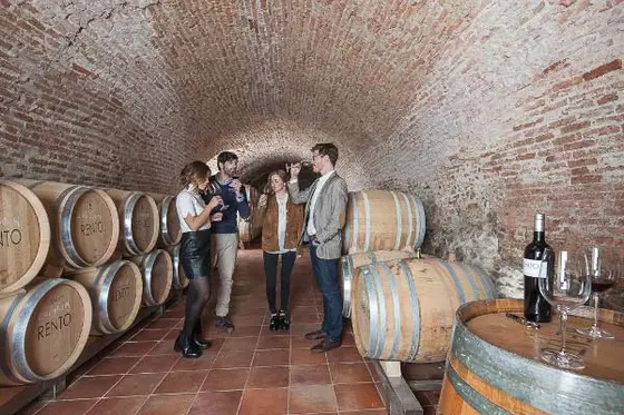 Bodega Rento
