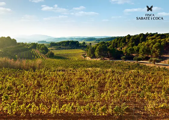 Castellroig – Sabaté i Coca