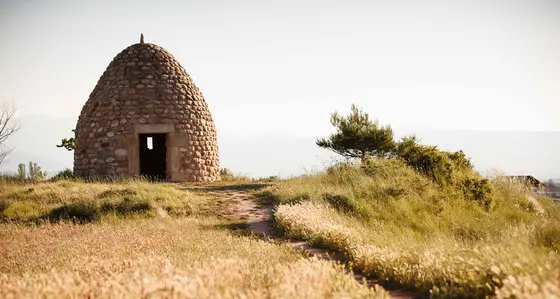 Bodega San Pedro