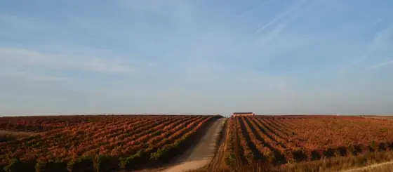 Bodega Sobreño