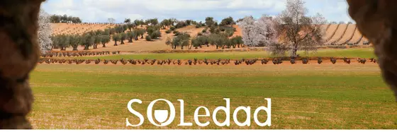 Bodega Soledad