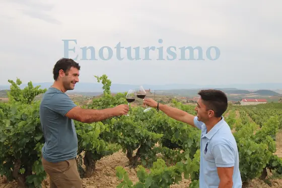 Bodega Teodoro Ruiz Monge