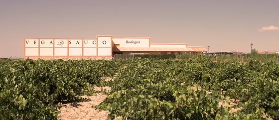 Bodega Vega Sauco