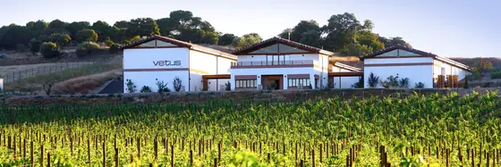Bodega Vetus