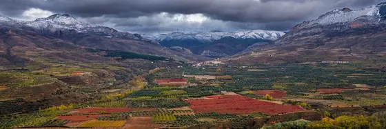 Bodega Vico