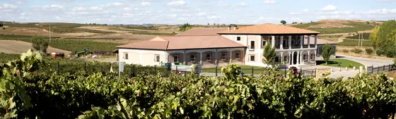 Bodega Viña Solorca