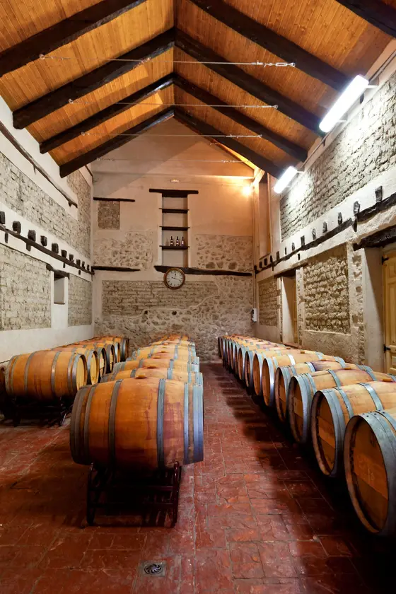 Bodega Viña Valdemazón