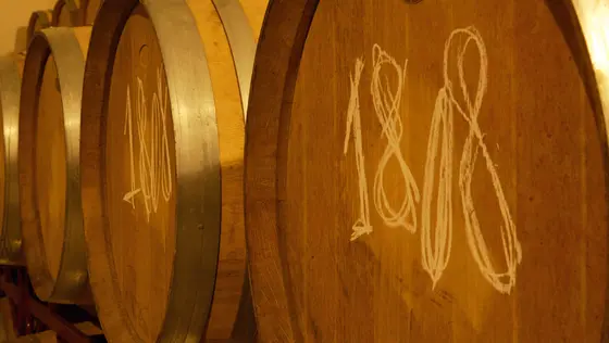 Bodegas 1808