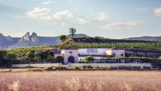 Bodegas Akutain