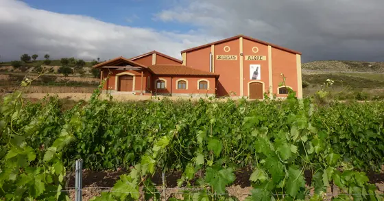 Bodegas Alore