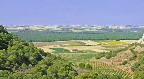 Bodegas Altogrande