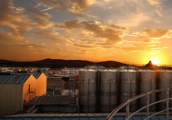 Bodegas Altovela