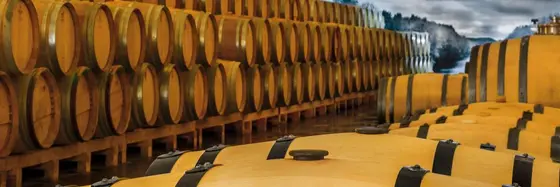 Bodegas Altun
