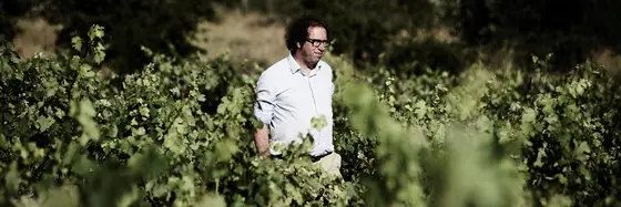 Bodegas Antidoto