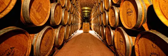Bodegas Arzuaga Navarro