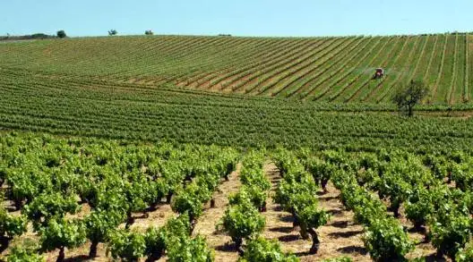 Bodegas Atancaba