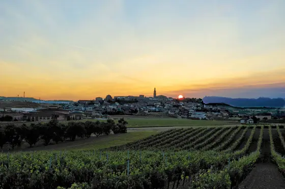 Bodegas Betolaza