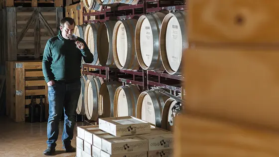 Bodegas Briones Abad