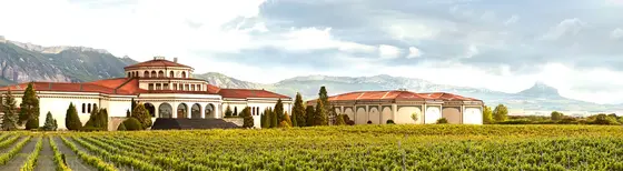 Bodegas Campillo