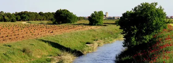Bodegas Campos Reales
