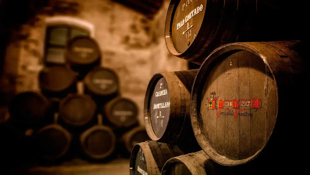 Bodegas Cayetano del Pino