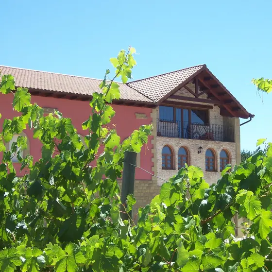 Bodegas Cenicero Vitícola – Finca Cienvacas