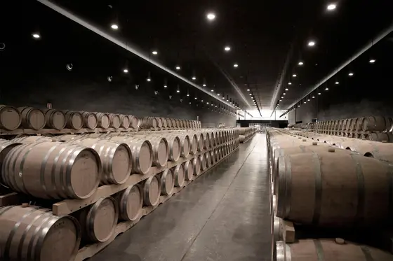 Bodegas Cepa 21