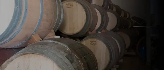 Bodegas Cherem