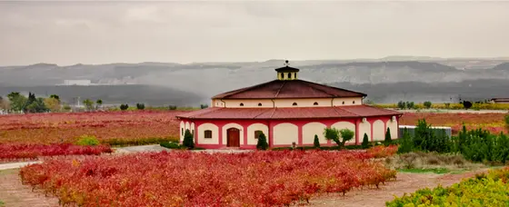 Bodegas Cicerón
