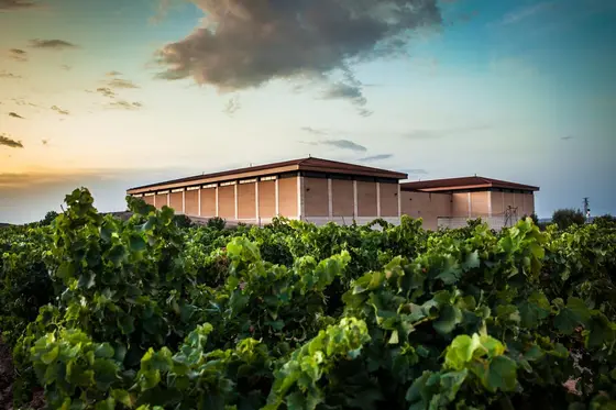 Bodegas del Medievo