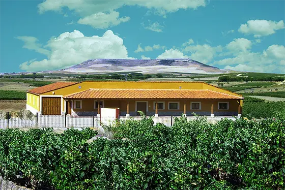 Bodegas Diez Llorente
