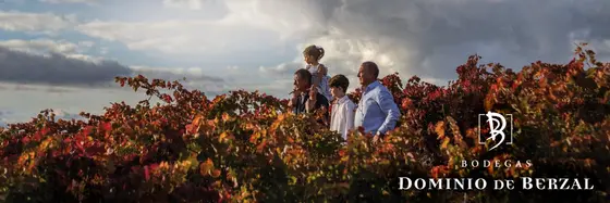 Bodegas Dominio Berzal